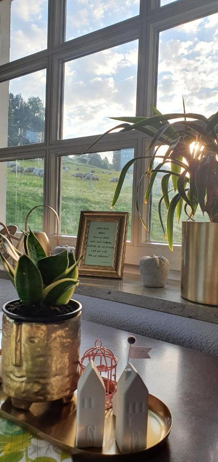 Hotel Zum Poppschen Gut Olbernhau Bagian luar foto